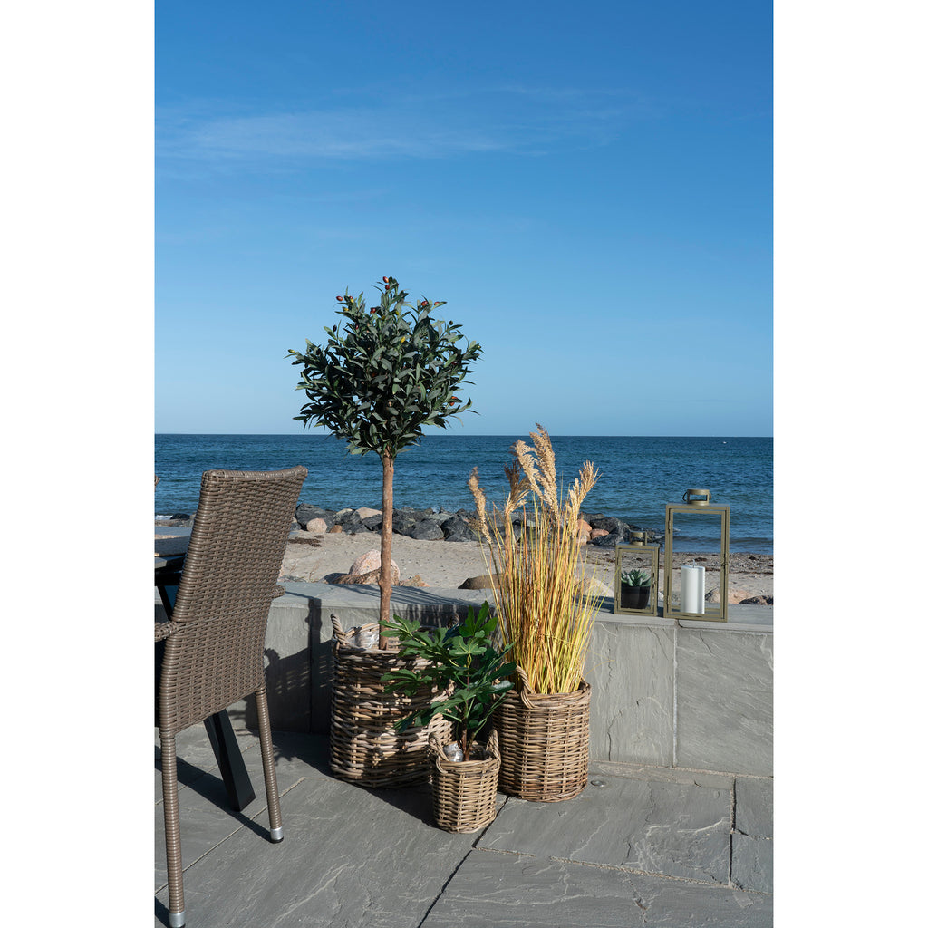 Korit kasveille 3 kpl, Sema