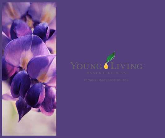 Young Livingin eteeriset öljyt Equanimi Living