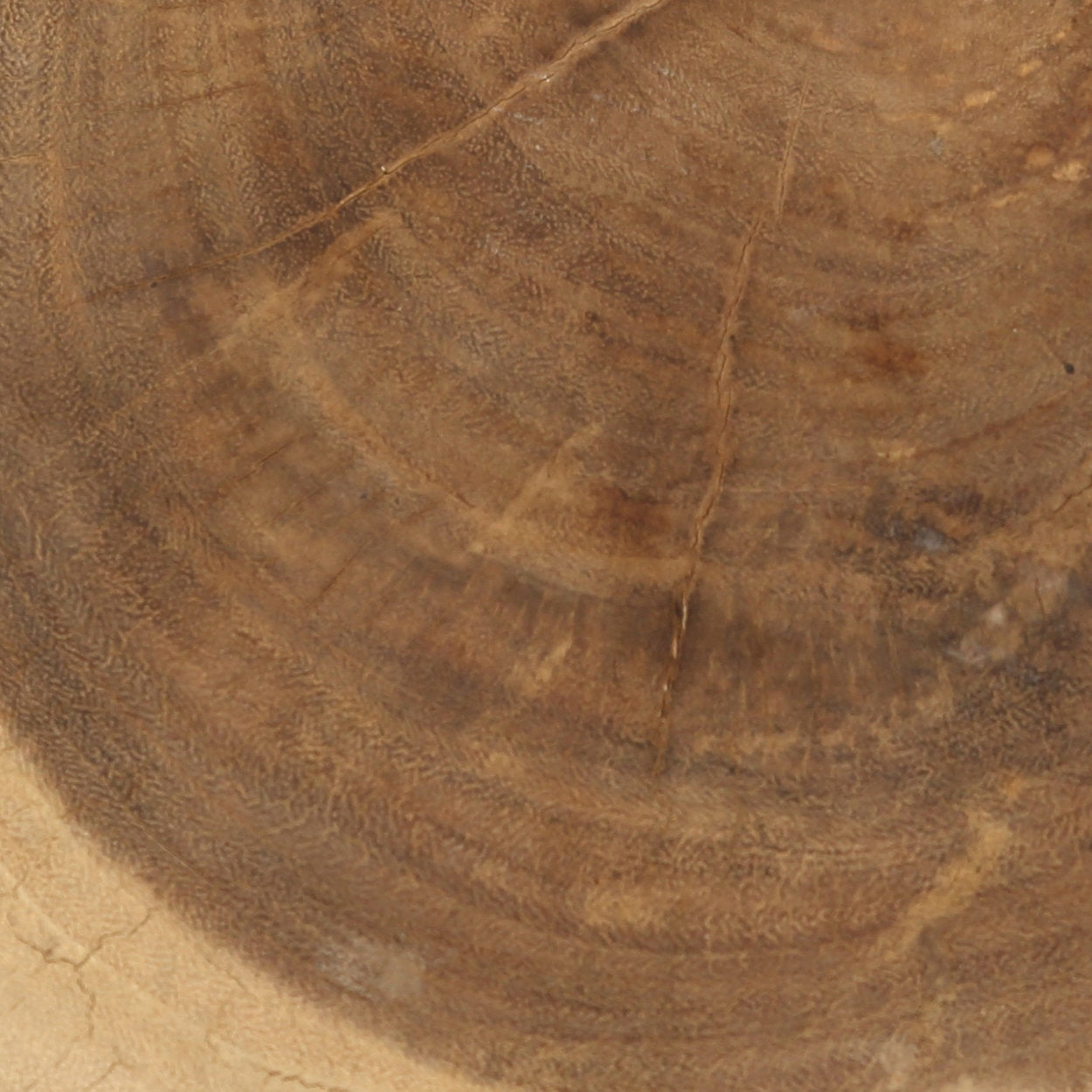 Jakkara Tribe, valkoinen 30x30x40  Bazar Bizar